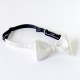 Lee Oppenheimer Bowtie No. 1