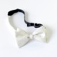 Lee Oppenheimer Fliege No. 1