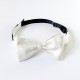 Lee Oppenheimer Fliege No. 1
