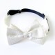 Lee Oppenheimer Fliege No. 1