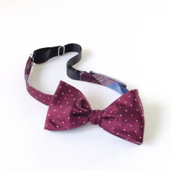 Lee Oppenheimer Bowtie No. 2