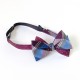 Lee Oppenheimer Bowtie No. 2