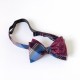Lee Oppenheimer Bowtie No. 2