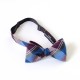 Lee Oppenheimer Bowtie No. 2
